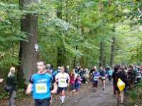 2014.10.12 - 37. Harzgebirgslauf - 31